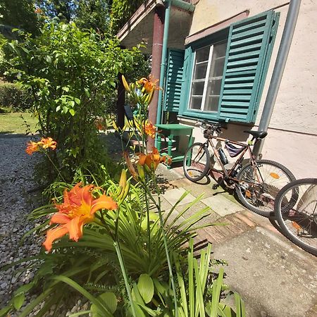 Garden Budha Relax Apartman, Parking, Bbq, Terrace شيوفوك المظهر الخارجي الصورة