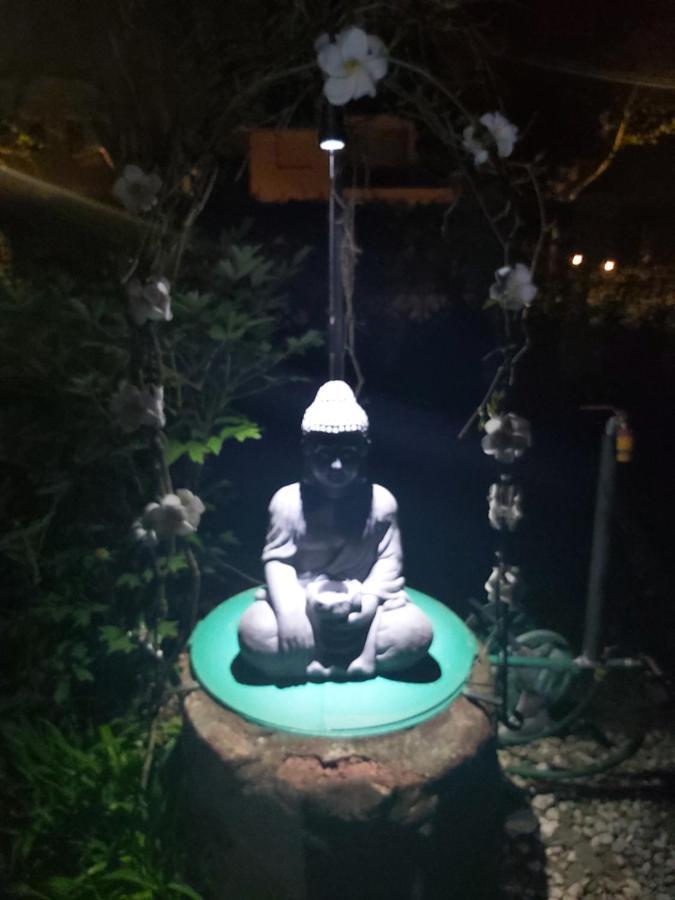 Garden Budha Relax Apartman, Parking, Bbq, Terrace شيوفوك المظهر الخارجي الصورة