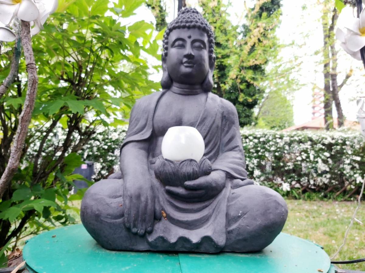 Garden Budha Relax Apartman, Parking, Bbq, Terrace شيوفوك المظهر الخارجي الصورة