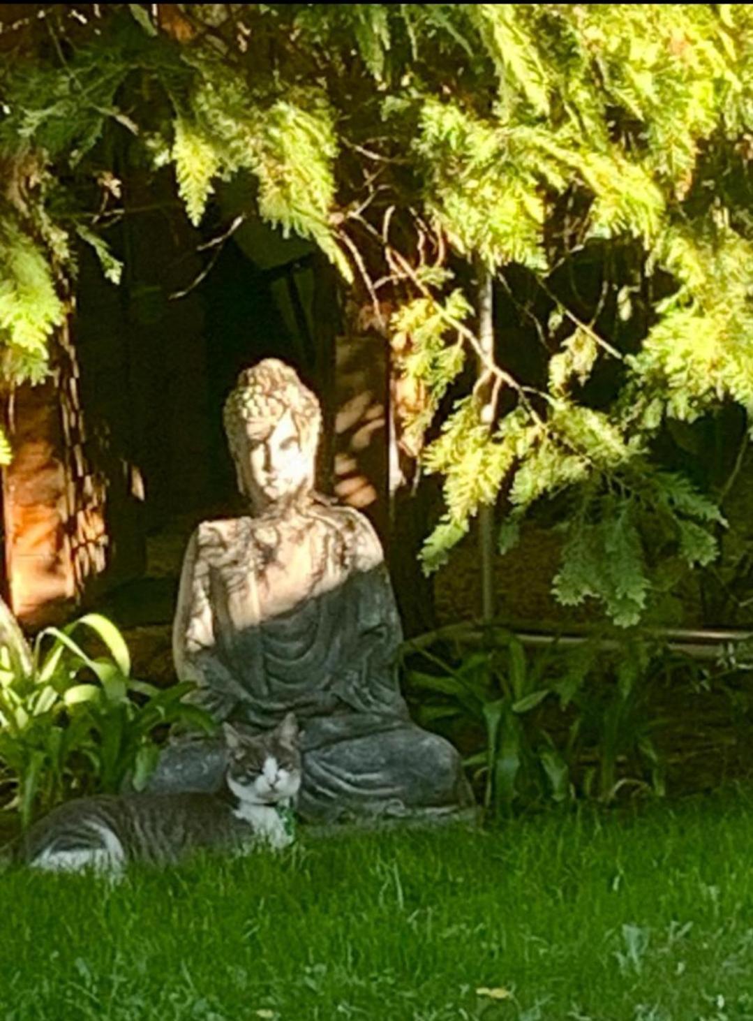Garden Budha Relax Apartman, Parking, Bbq, Terrace شيوفوك المظهر الخارجي الصورة