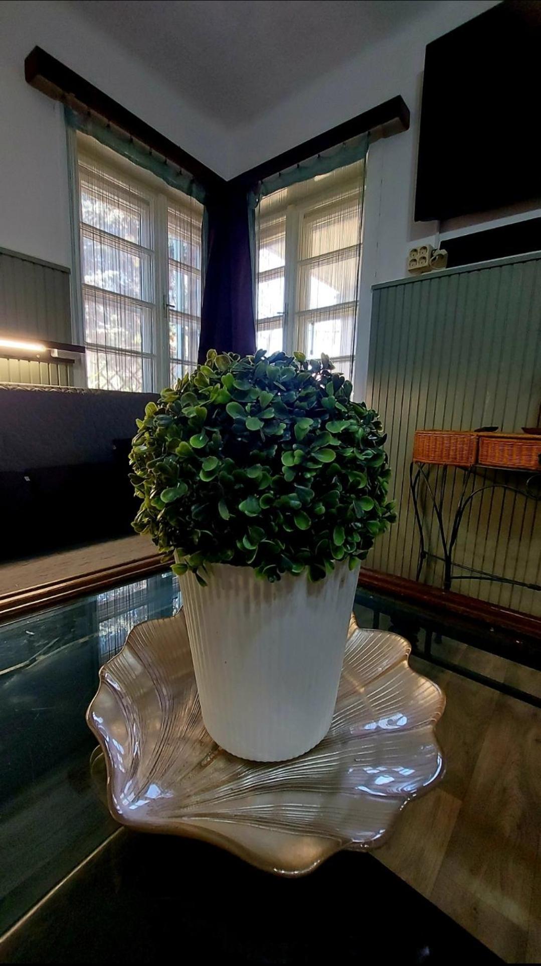 Garden Budha Relax Apartman, Parking, Bbq, Terrace شيوفوك المظهر الخارجي الصورة