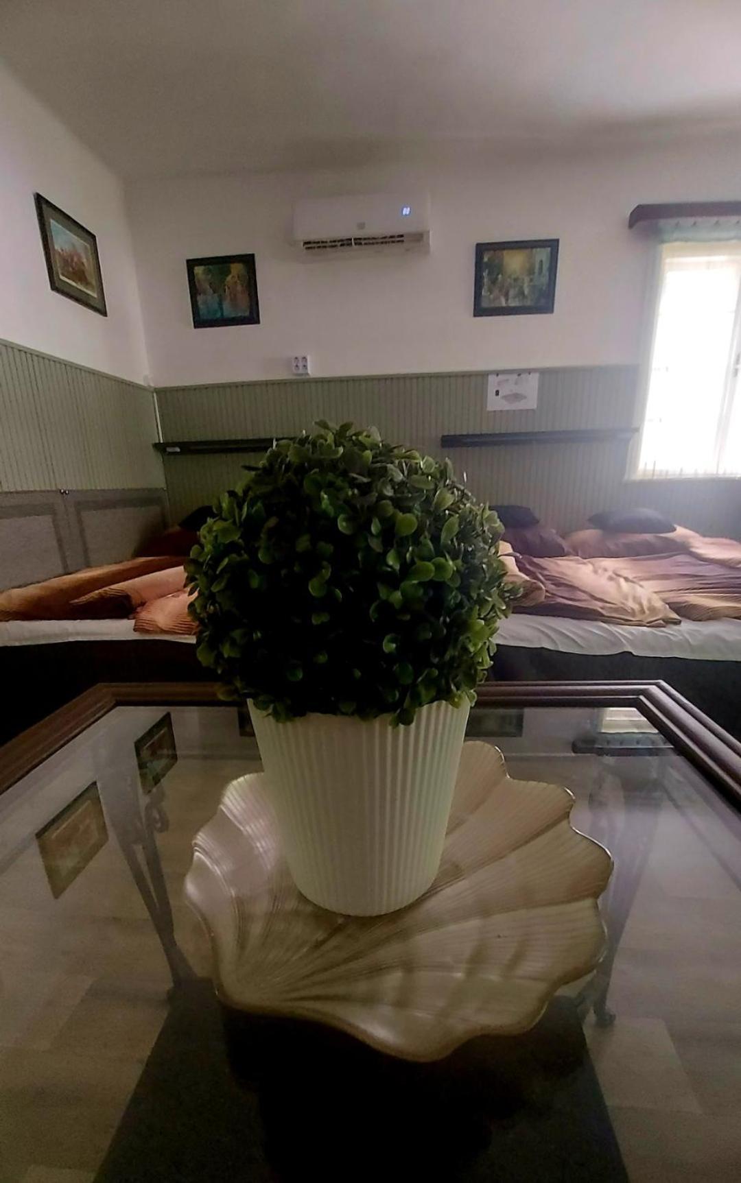 Garden Budha Relax Apartman, Parking, Bbq, Terrace شيوفوك المظهر الخارجي الصورة